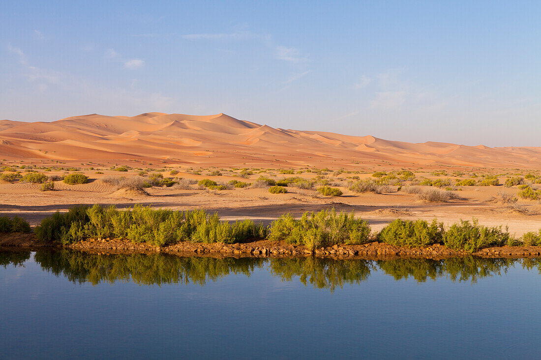 Teich In Leerem Viertel In Liwa Oase,Liwa Oase,Abu Dhabi,Vereinigte Arabische Emirate