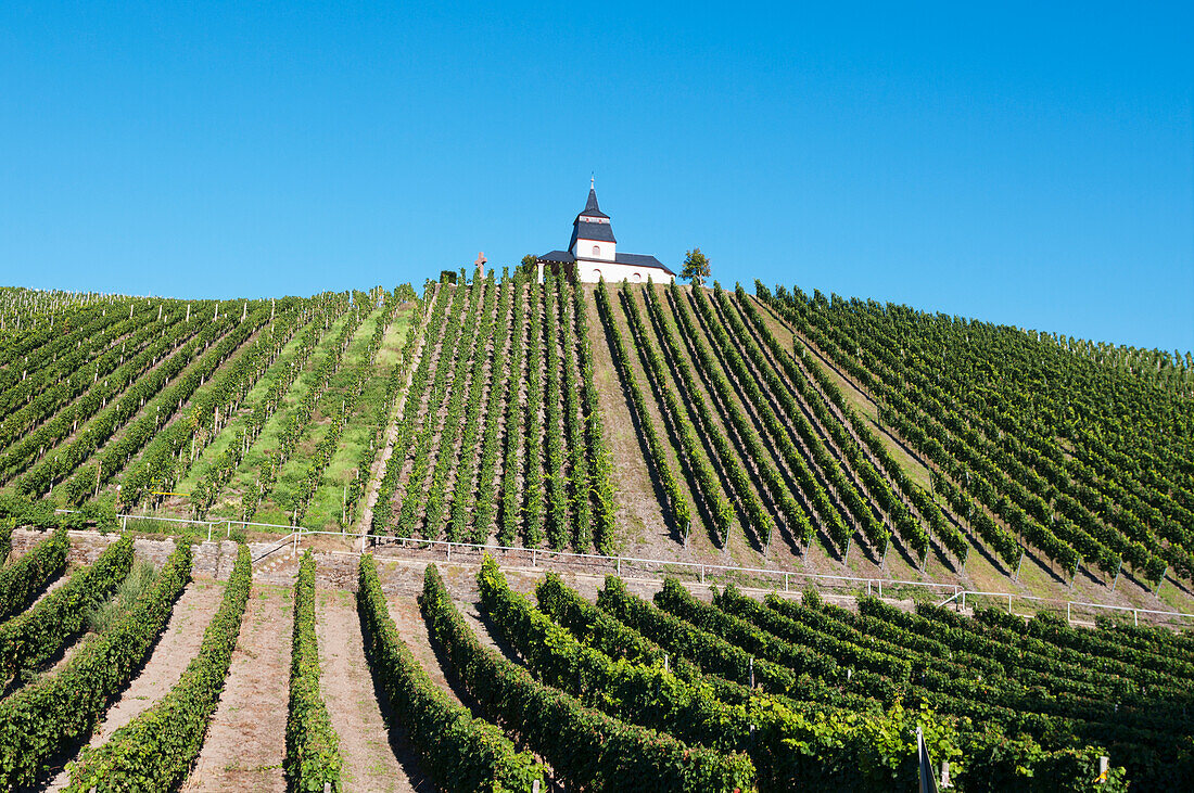 Weinberg an einem Hang mit einem Gebäude auf der Spitze des Hügels,Mosel,Deutschland