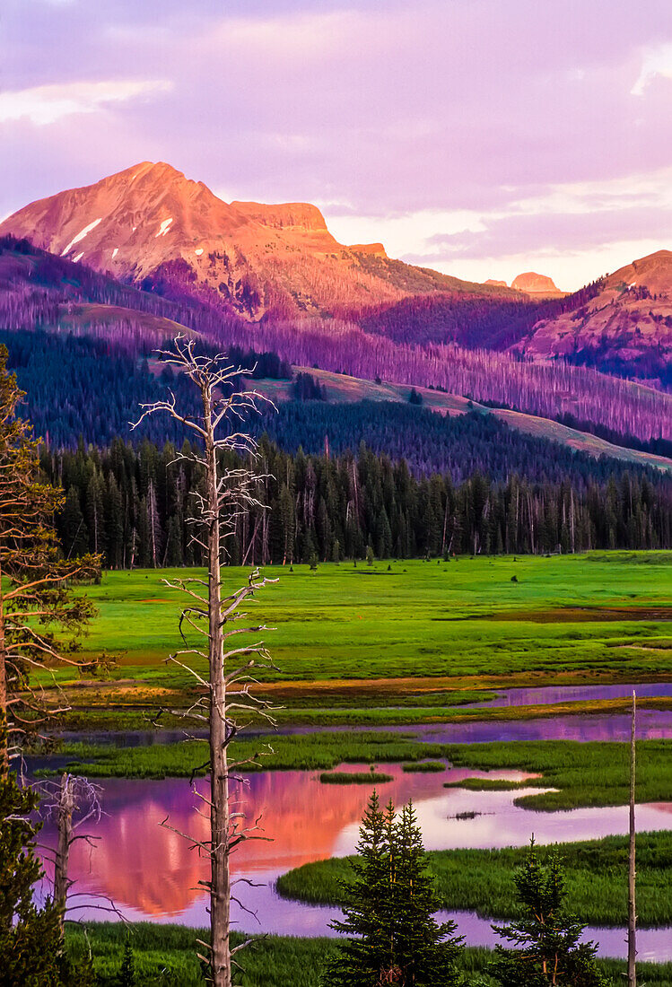 Farbenfrohe Landschaft und leuchtender Colter Peak bei Sonnenuntergang im Yellowstone National Park,Wyoming,USA. Die satten Rottöne auf dem Colter Peak auf diesem Foto stammen von dem warmen Licht des Sonnenuntergangs, das durch den dünnen Rauch eines Waldbrandes in Idaho hindurchgeht. Das Vulkangestein, aus dem der Colter Peak besteht, war bei seiner Entstehung vor zig Millionen Jahren viel heißer und könnte durch die damalige Hitze rot geglüht haben, Wyoming, Vereinigte Staaten von Amerika