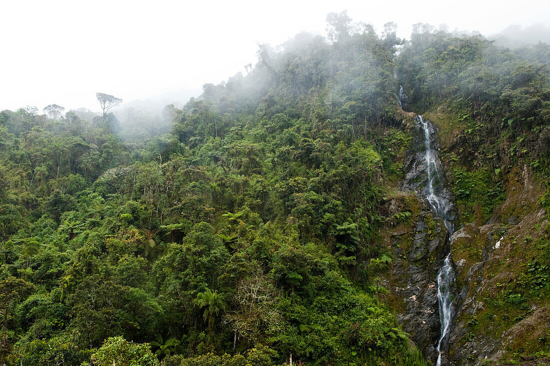 Wasserfall an einer Klippe durch üppige Regenwaldvegetation,Limon,Ecuador