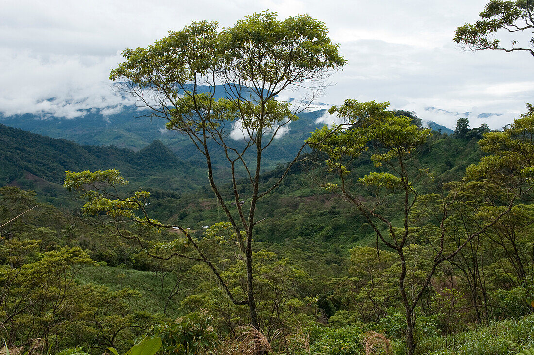 Aussichtspunkt auf der Straße von Quito nach Limon in Ecuador,Limon,Ecuador