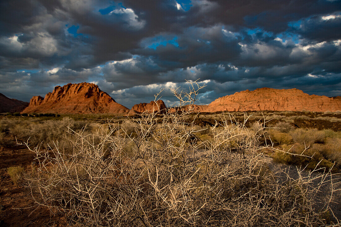 Wanderweg durch den Snow Canyon, hinter dem Red Mountain Spa im Red Cliffs Desert Reserve um St George Town mit trockenen Büschen, roten Felsen und dunklen Wolken am blauen Himmel, St George, Utah, Vereinigte Staaten von Amerika