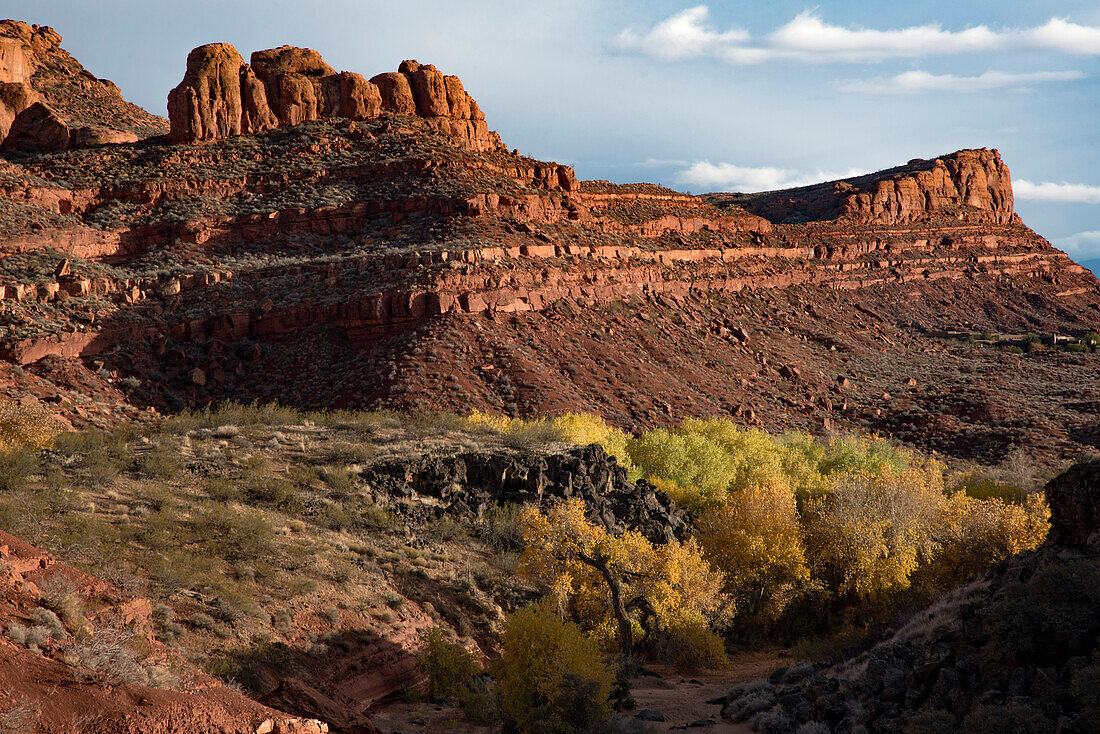 Wanderweg durch den Johnson Canyon, Teil des Snow Canyon State Park, hinter dem Red Mountain Spa in der Nähe von St George Town mit roten, felsigen Bergklippen und Überblick über das Tal, St George, Utah, Vereinigte Staaten von Amerika