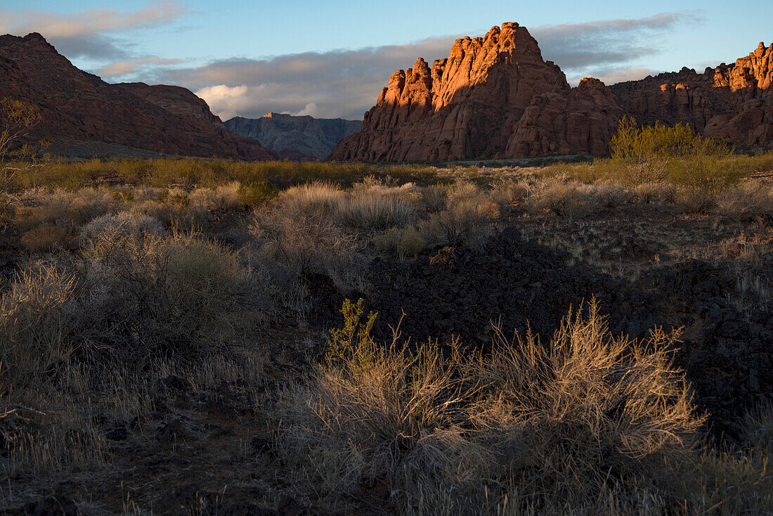 Wanderweg durch den Johnson Canyon, Teil des Snow Canyon State Park, hinter dem Red Mountain Spa um St George Town mit trockenem Buschwerk und roten Felsen, St George, Utah, Vereinigte Staaten von Amerika