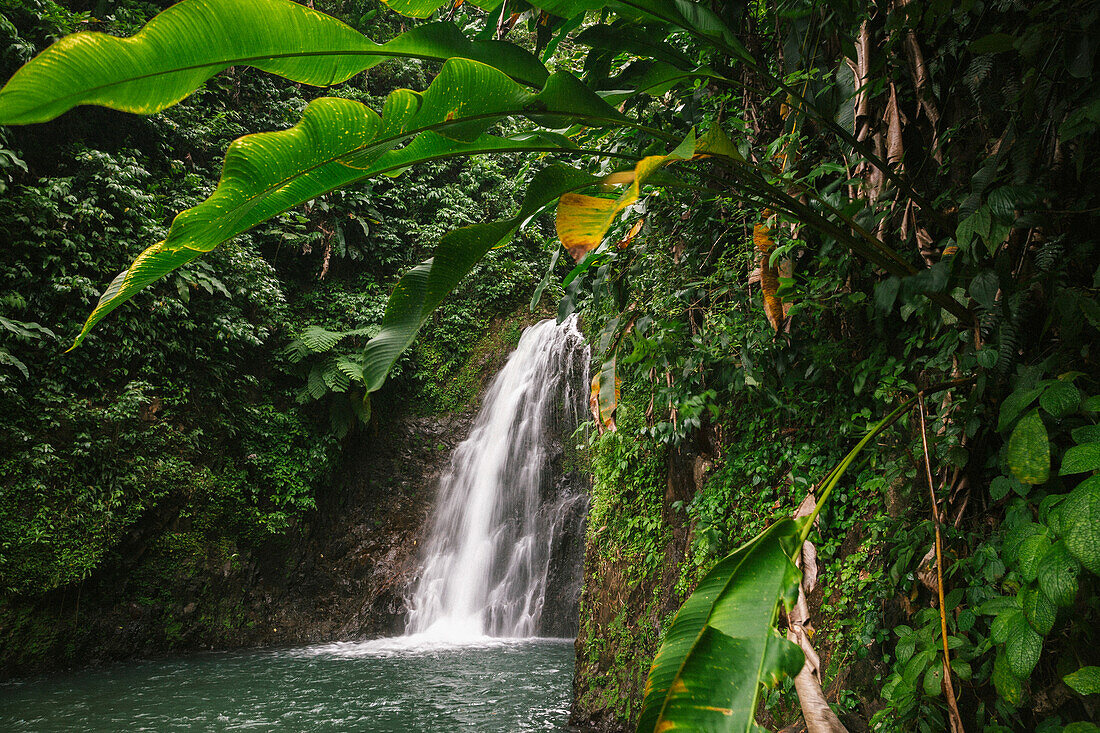 Atemberaubender Blick auf die Seven Sisters Waterfalls mit üppiger Vegetation im Grand Etang National Park,Grand Etang National Park & Forest Reserve,Grenada,Karibik