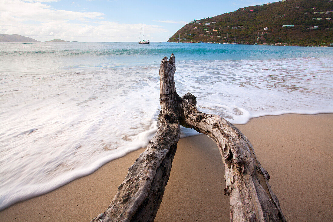 Nahaufnahme von Treibholz am Rande des Wassers mit der schäumenden Brandung, die auf den Strand rollt, und einem Blick auf das Meer von der Cane Garden Bay, Tortola, Britische Jungferninseln, Karibik