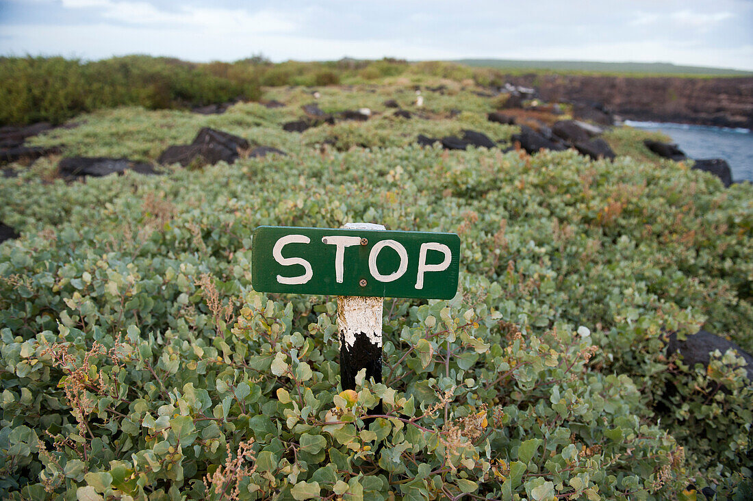 Stop' sign protects plants and wildlife on Espanola Island in Galapagos Islands National Park,Espanola Island,Galapagos Islands,Ecuador