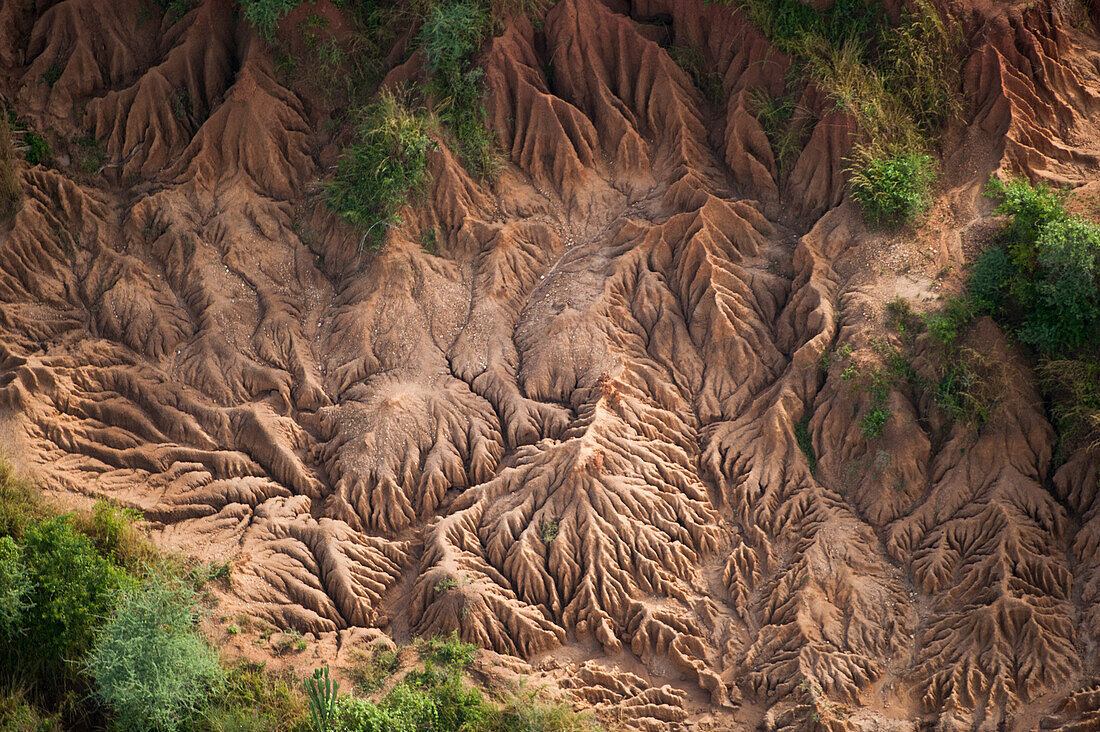 Grabenwand entlang des Albertsees in Uganda, Albertine Rift, Uganda