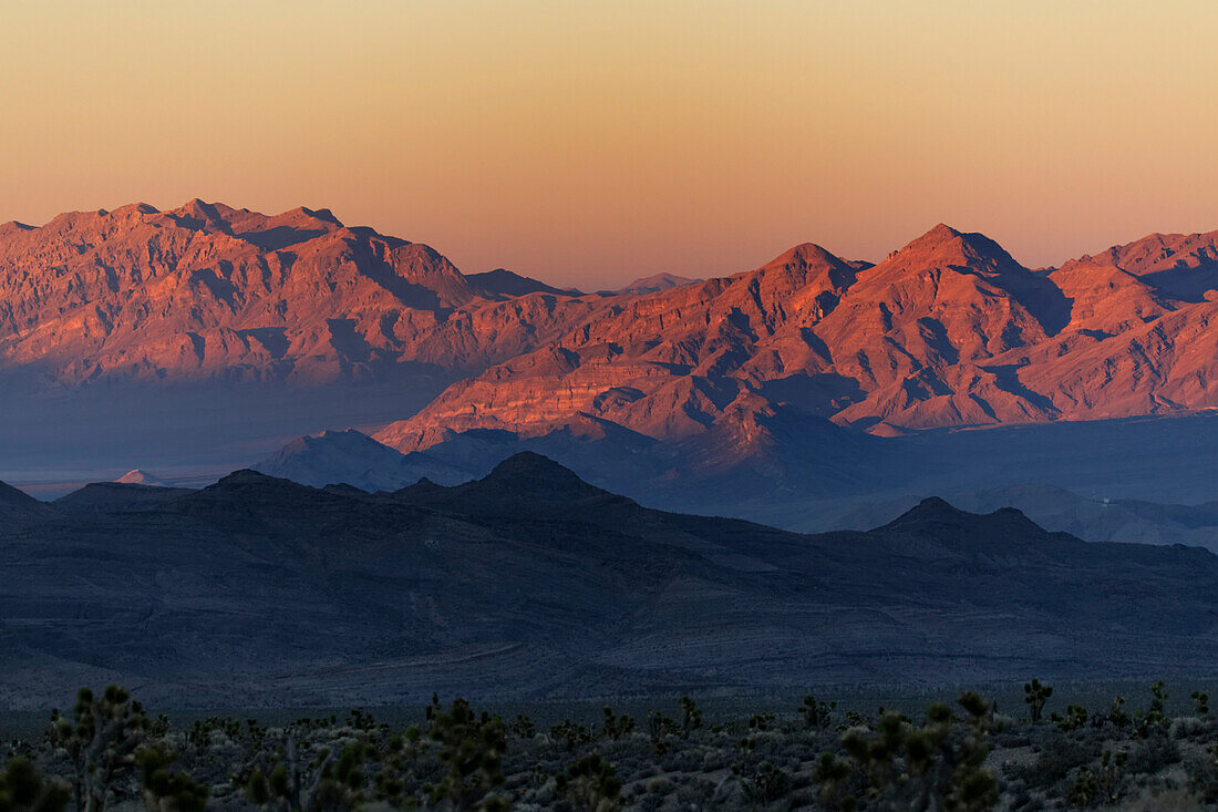 High desert where Ice Age Columbian mammoths,camels,lions,sloths and ancient horse herds roamed lush wetlands. This view is the Spotted Range near Cold Creek,Las Vegas,Nevada,USA,Las Vegas,Nevada,United States of America