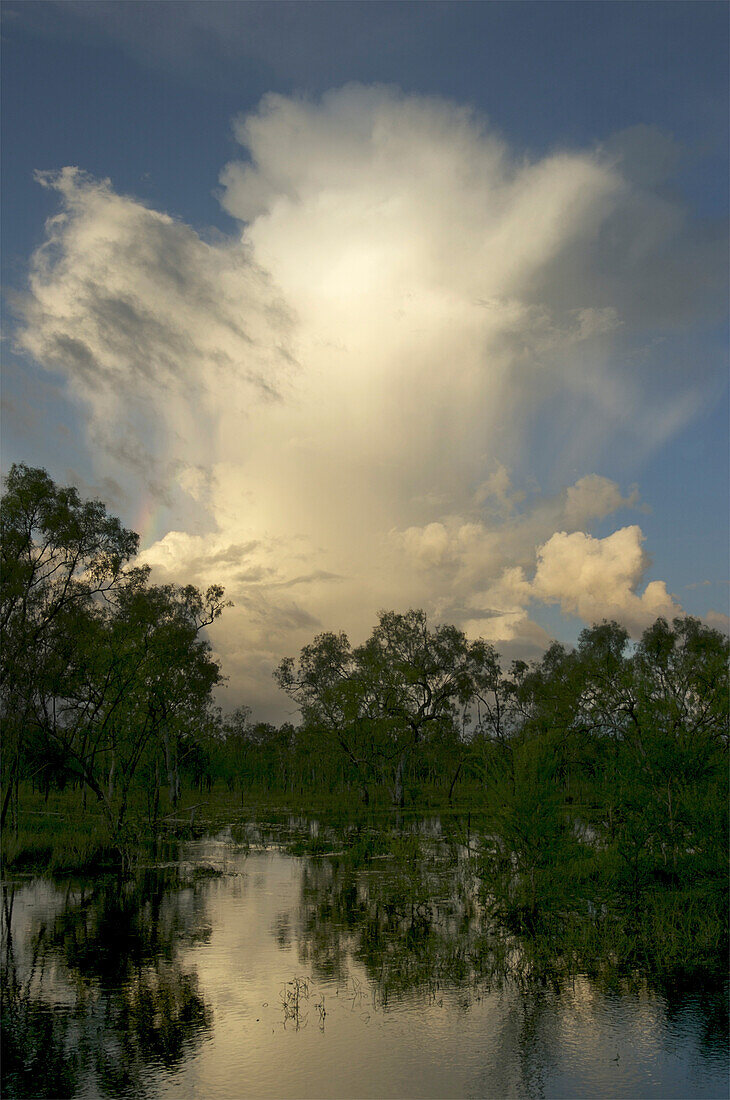 Bäume unter weißen Wolkenformationen, die sich im Wasser eines Teiches spiegeln,Australien
