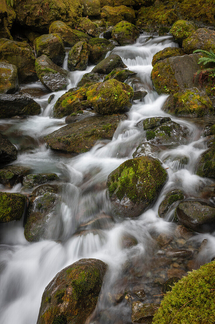 Langzeitbelichtung des rauschenden Wassers, der Felsen und des Mooses der Bunch Falls in der Nähe des Lake Quinault im Olympic National Forest, Amanda Park, Washington, Vereinigte Staaten von Amerika