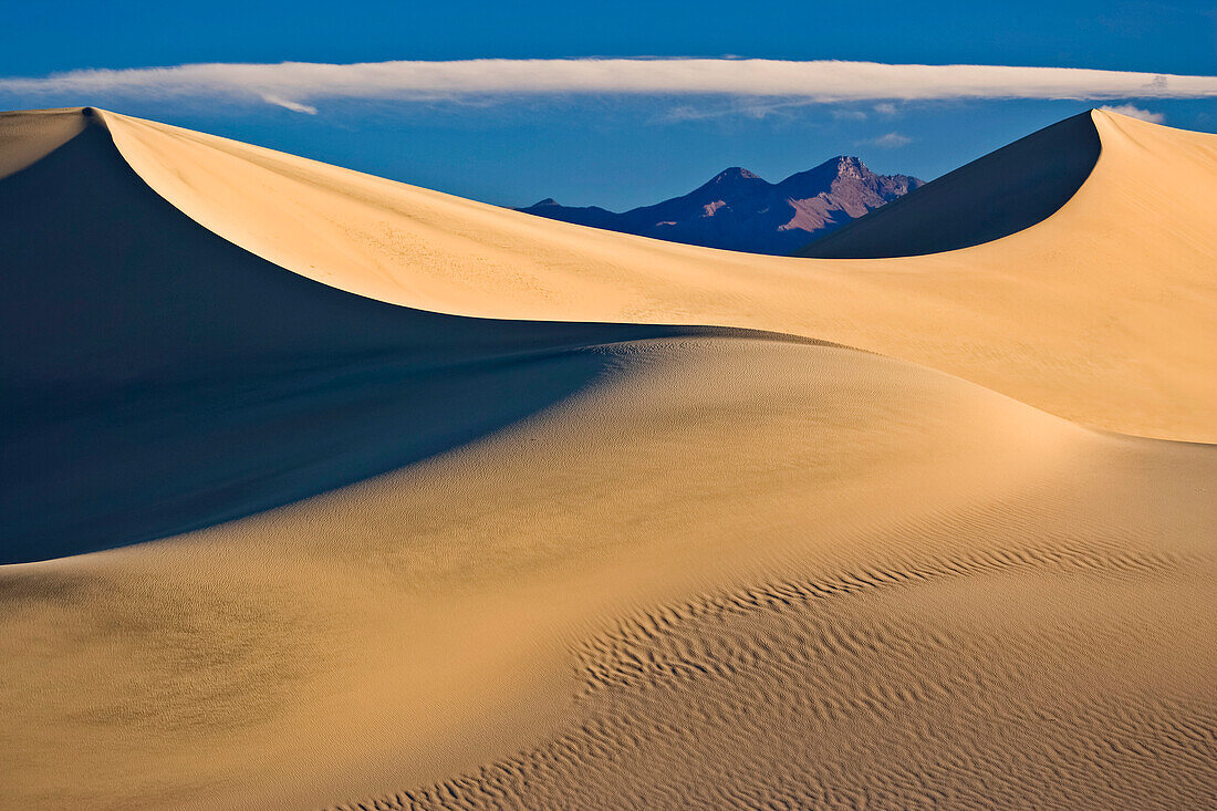 Mesquite Flat Sand Dunes in Death Valley National Park,California,USA,California,United States of America