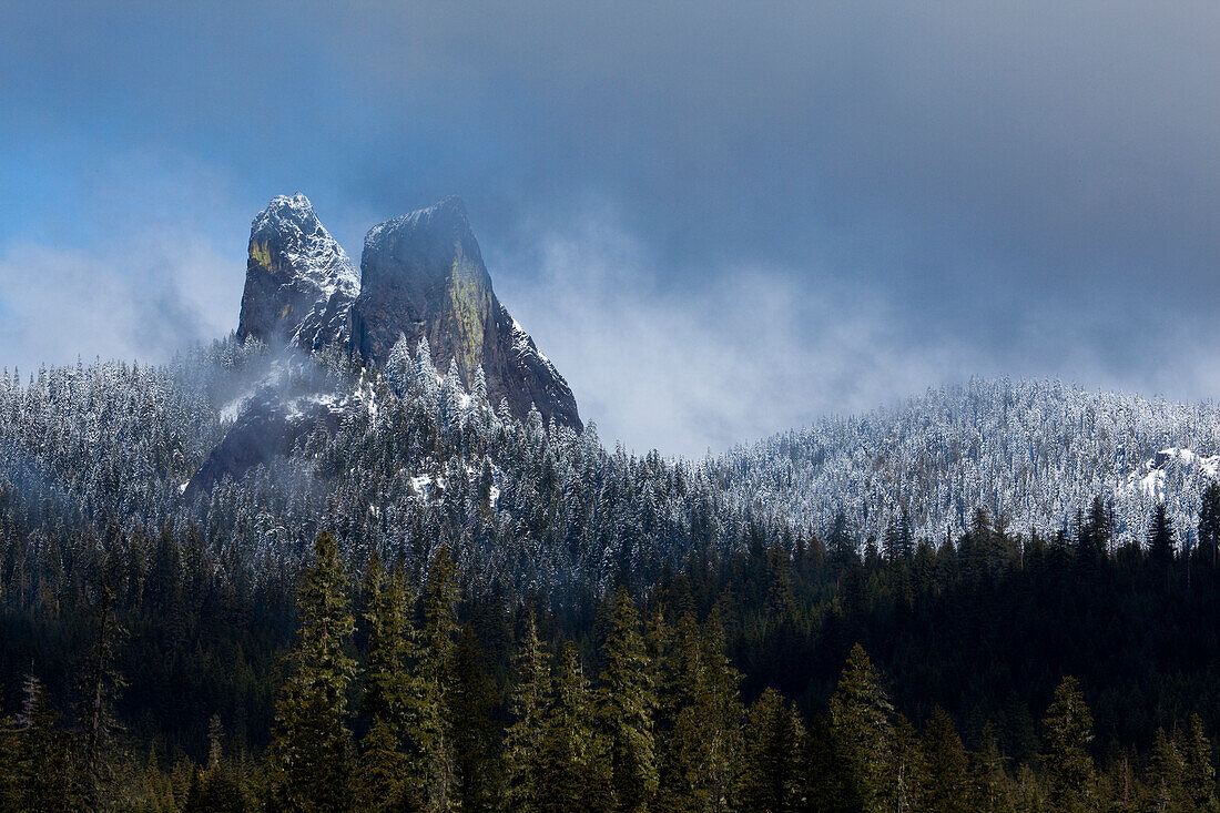 Baumgrenze mit schneebedeckten Baumkronen und Rabbit Ears Gipfeln im Rogue River-Siskiyou National Forest,Oregon,USA,Oregon,Vereinigte Staaten von Amerika