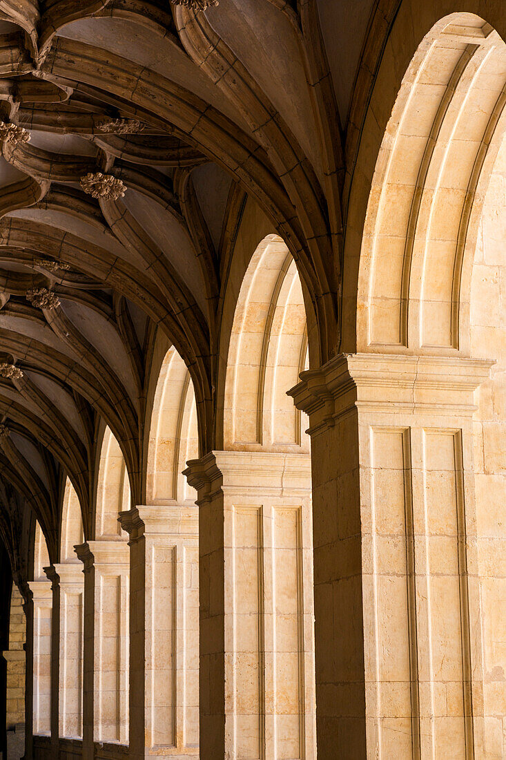 Close-up of the shaded,intricate vault ceiling and the sunlit archways at the Leon Cathedral (Catedral de Léon) in Regla Square,Leon,Province of Leon,Spain