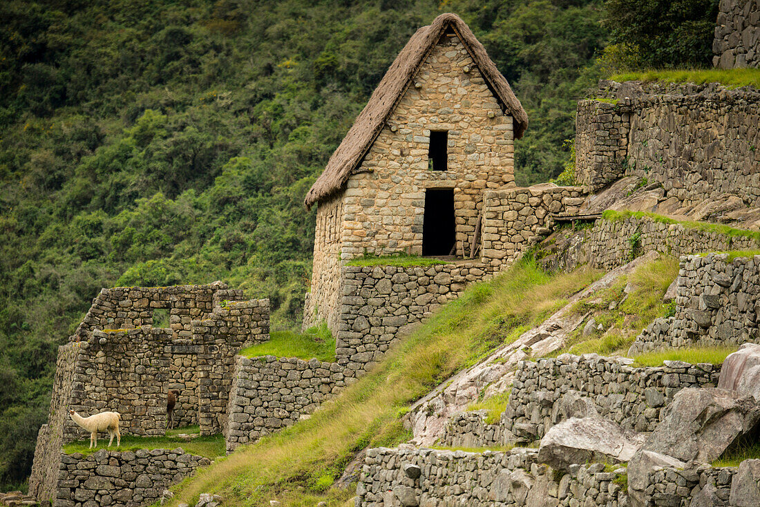 Machu Picchu, Peru