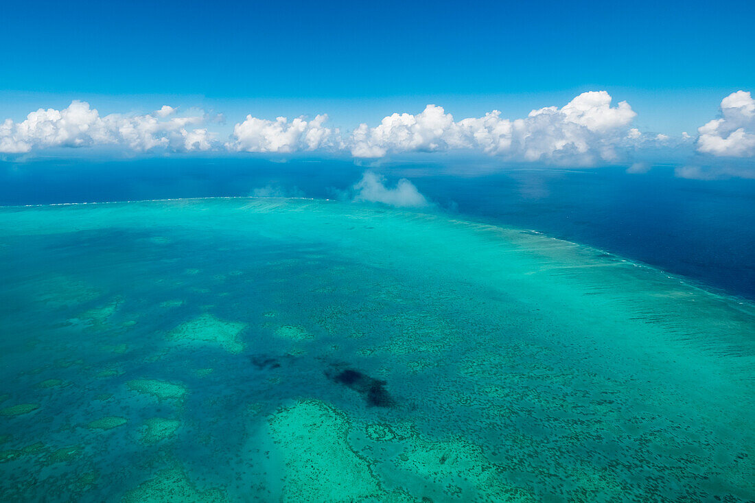 Luftaufnahme des Great Barrier Reef, des größten Korallenriffs der Welt, Queensland, Australien