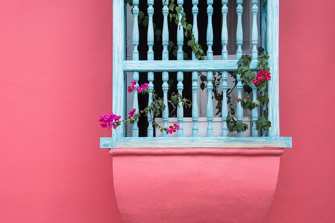 Detail eines rosa Gebäudes und Blumen auf der Fensterbank, Cartagena, Bolivar, Kolumbien