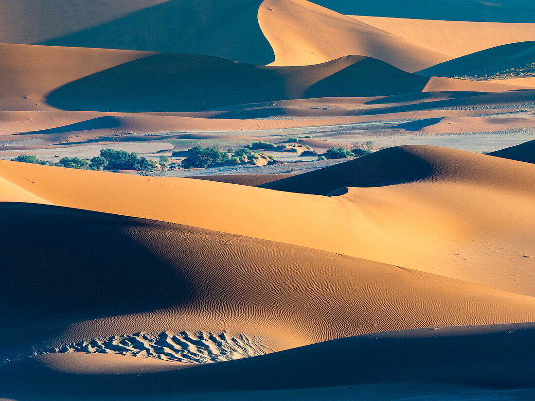 Sanddünen im Namib-Naukluft-Park, Sossusvlei, Namibia