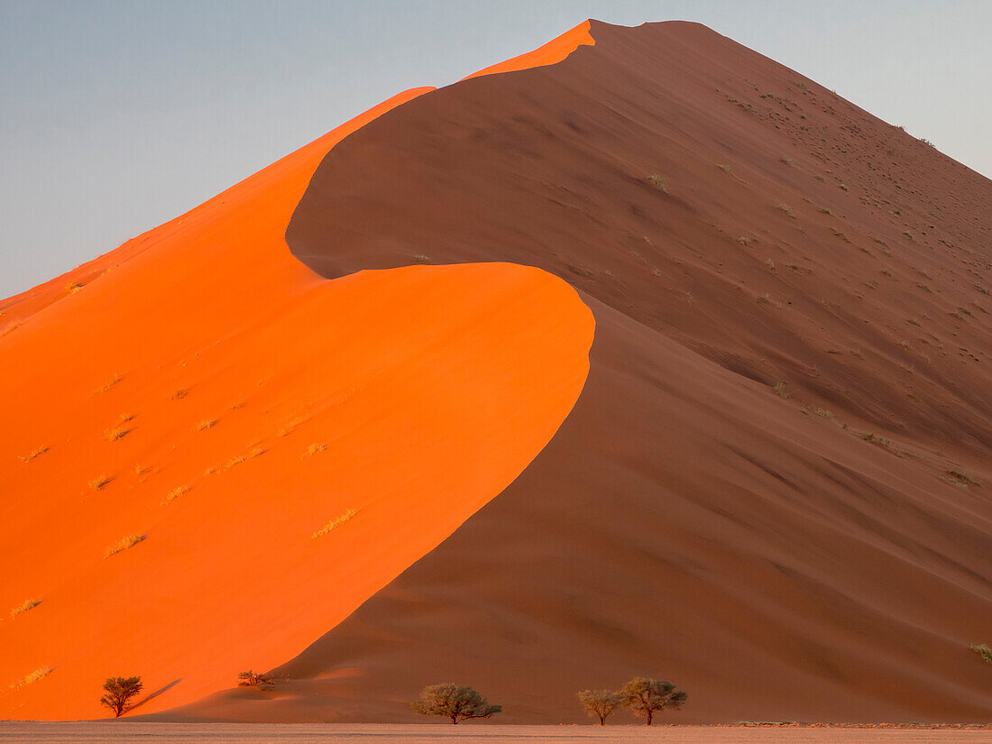 Kontrastreiches Licht und Schatten auf Sanddünen bei Sonnenaufgang im Namib-Naukluft Park, Sossusvlei, Namibia