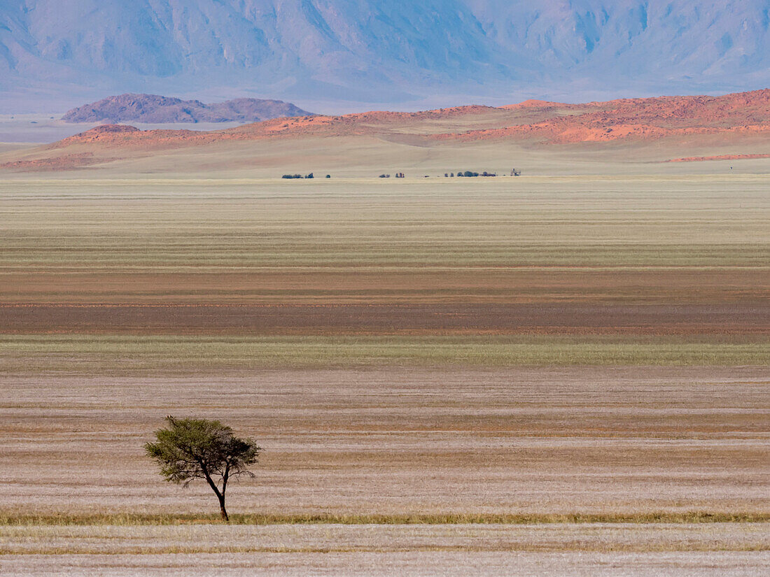 Bunter Blick auf die offenen Ebenen bei Tirasberge, Tirasberge, Schwarzrand, Namibia