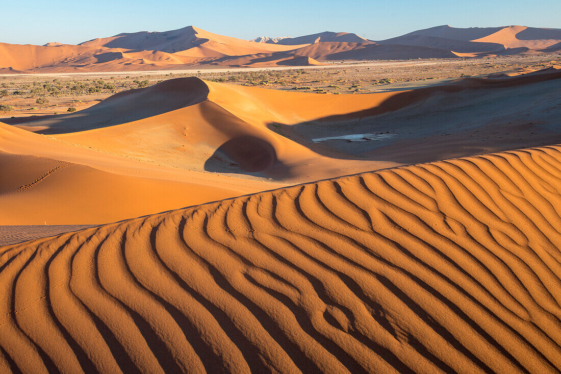 Sanddünen im Nachmittagslicht im Namib-Naukluft Park, Sossusvlei, Namibia