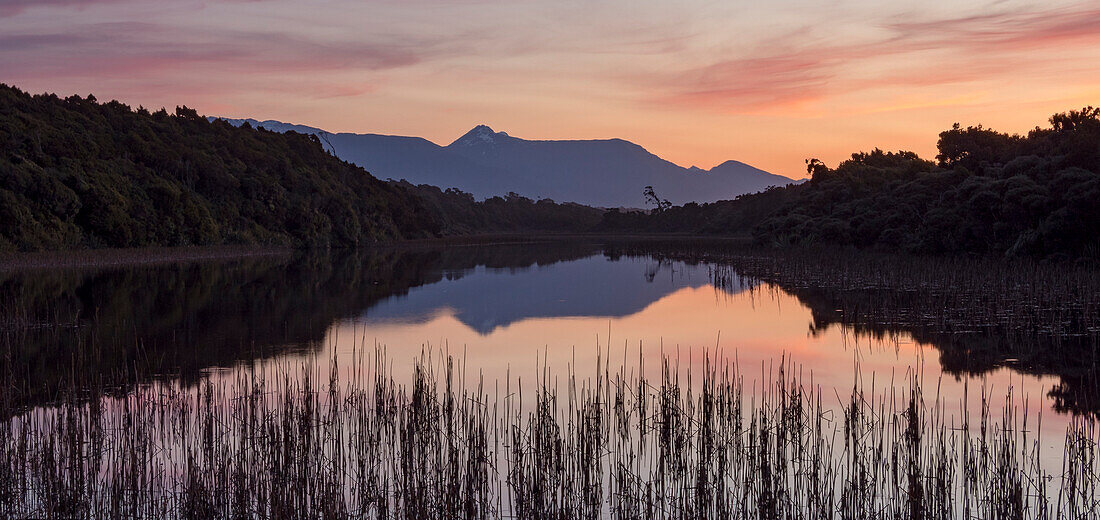 Sonnenuntergang über einem Sumpfgebiet mit dem Mount Aspiring National Park im Hintergrund, Haast, Ship Creek, Südinsel, Neuseeland