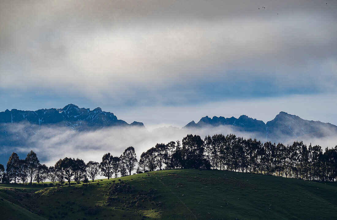 Morning fog over pastures and the Takitimu Mountains,Te Anau,South Island,New Zealand