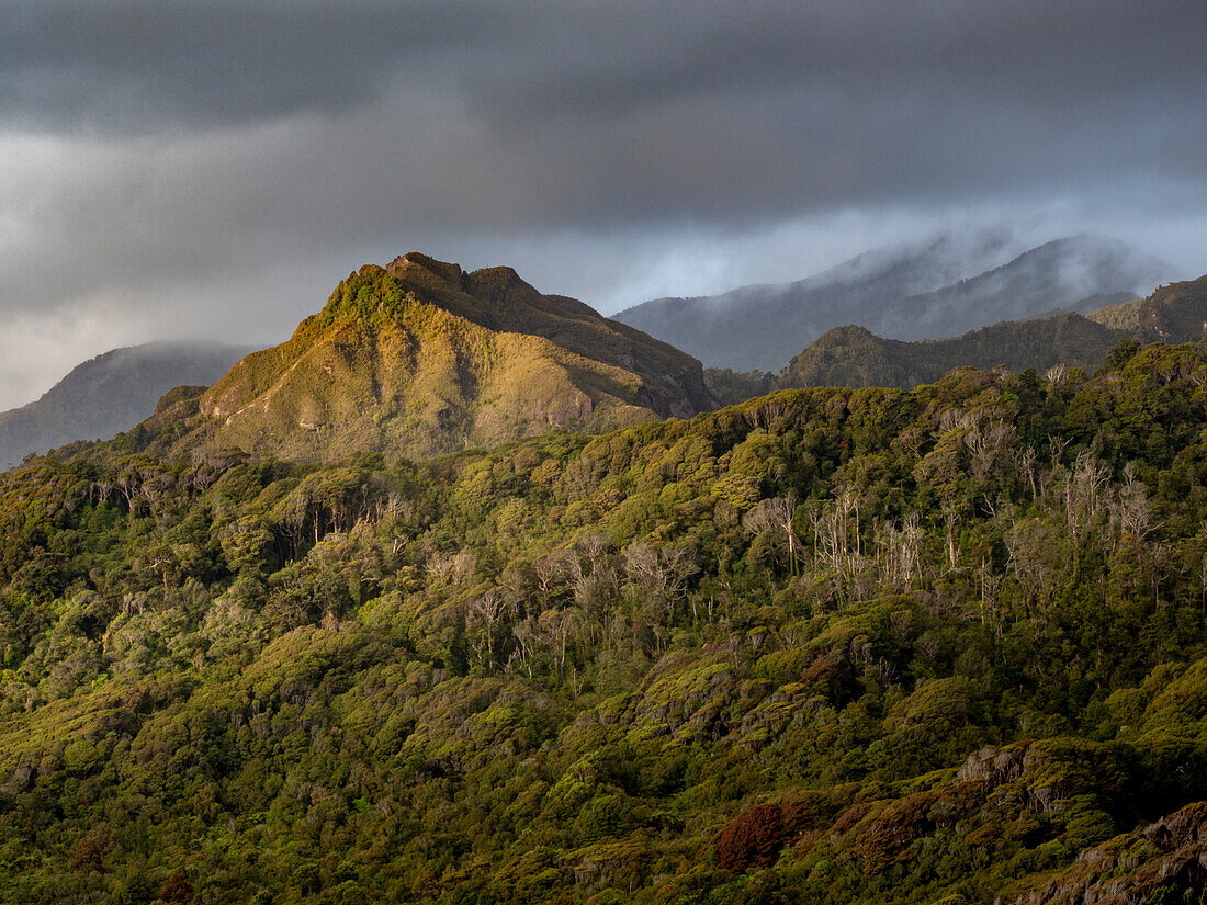 Sonnenuntergang über den Hügeln der Westküste im Paparoa National Park, Greymouth, Südinsel, Neuseeland