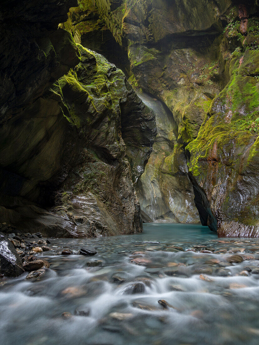 Waldbach im Mount Aspiring National Park, Haast, Südinsel, Neuseeland