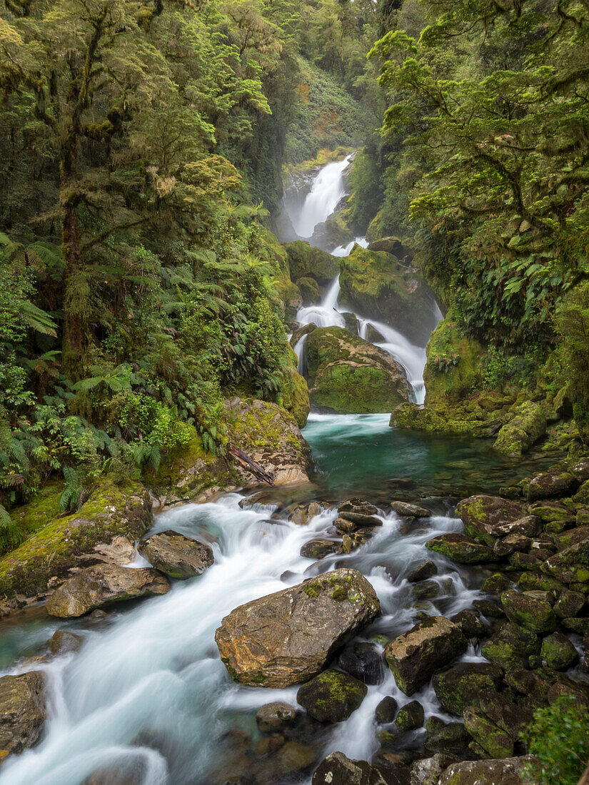 Mackay Falls in der Nähe von Meile 26 des Milford Tracks, Milford Sound, Südinsel, Neuseeland