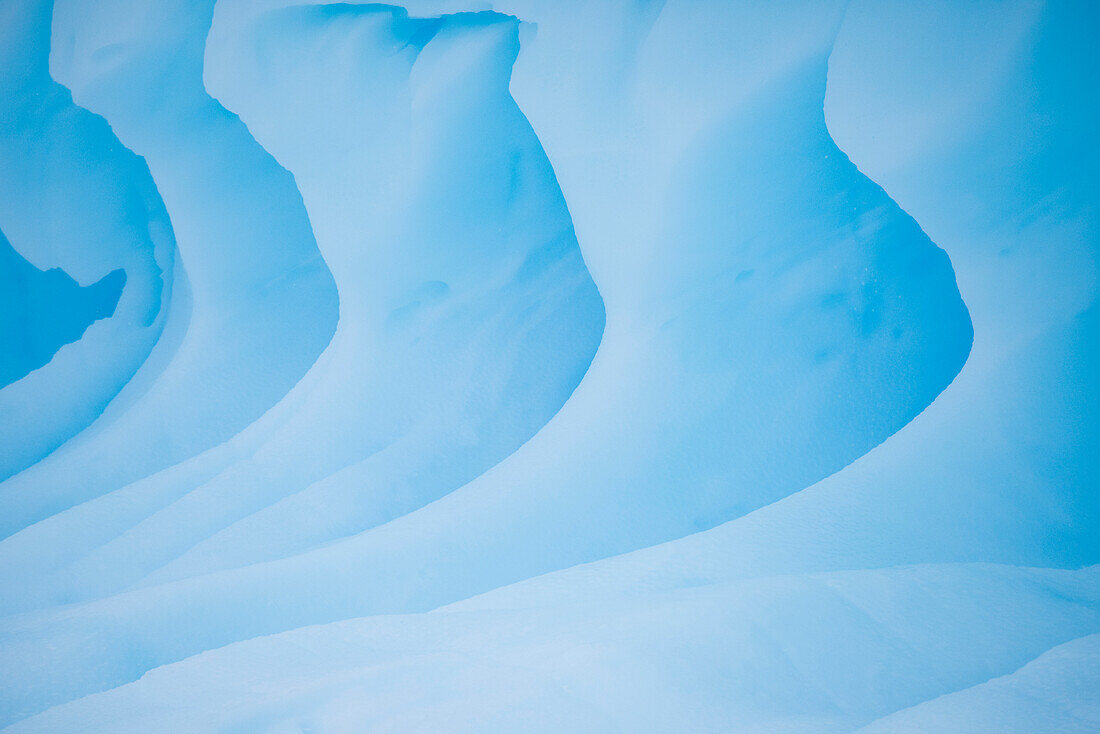 Iceberg on the west side of the Antarctic peninsula,Antarctica