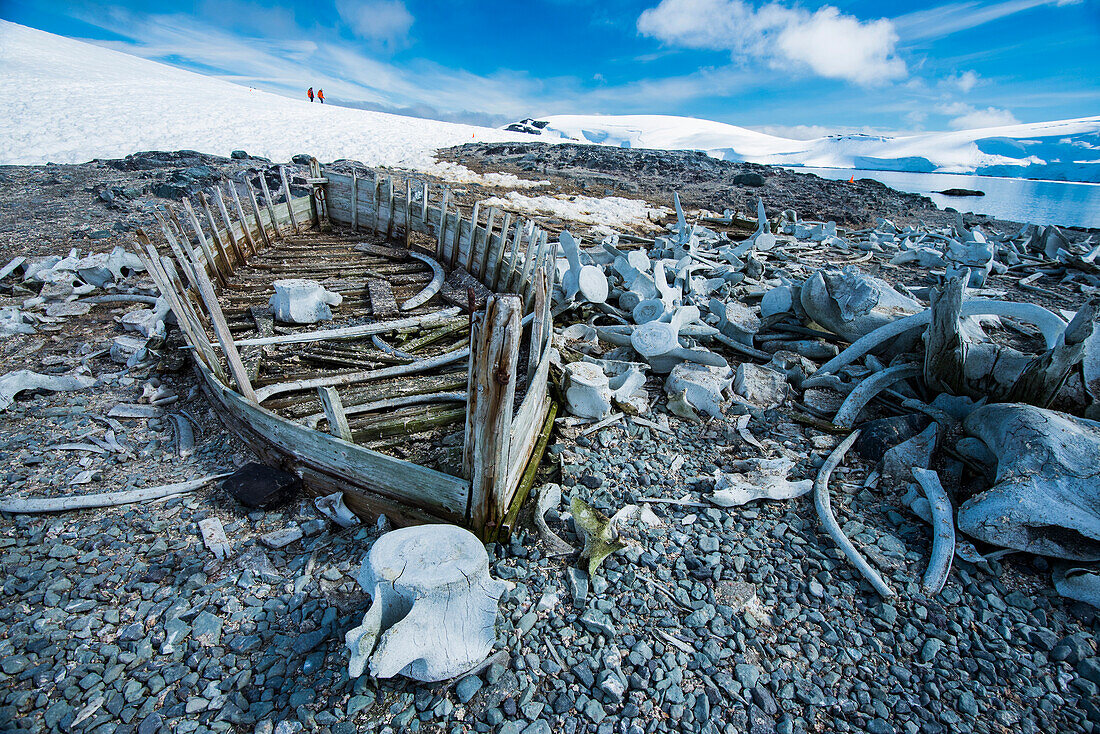 Historische Überreste und Walknochen im Mikkelsen-Hafen in der Antarktis,Antarktis