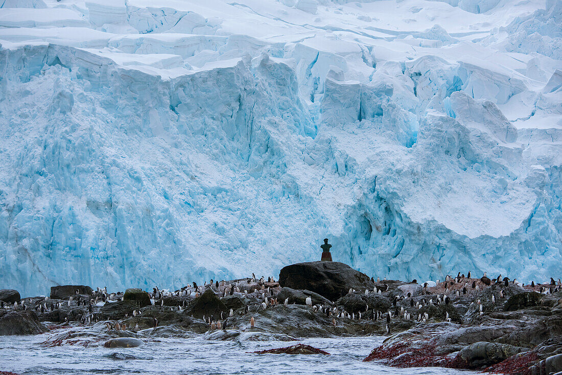 Chinstrap penguin colony (Pygoscelis antarctica) and bust of Luis Pardo at Point Wild on Elephant Island,Antarctica