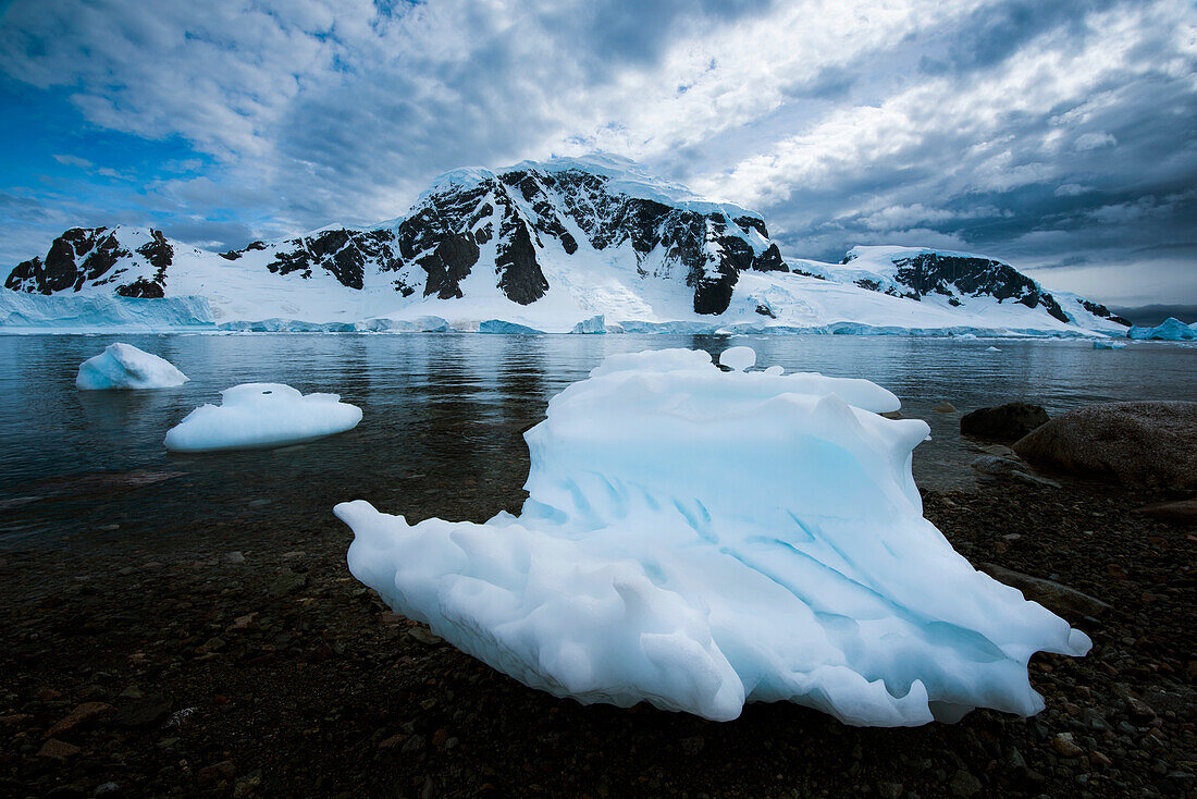 Ice,snow and land of the Antarctic peninsula at Danco Island,Danco Island,Antarctica