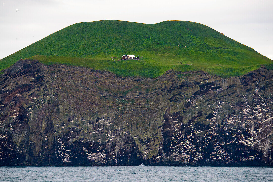 Haus auf einer Klippe bei Heimaey, Island, Island