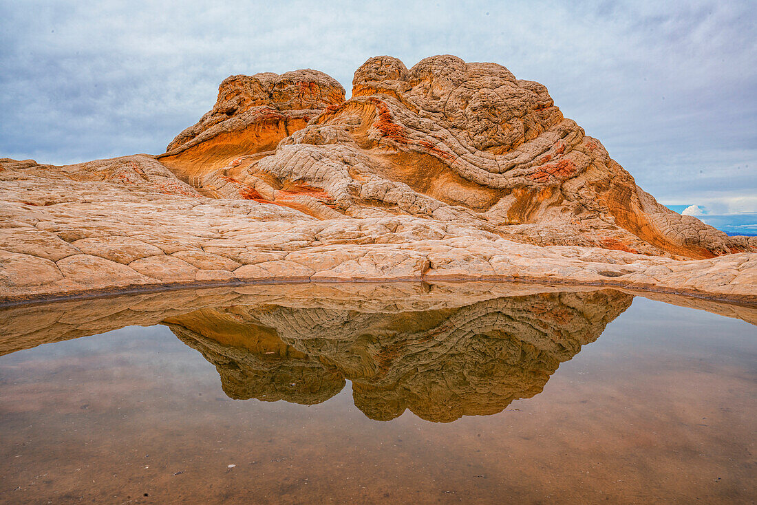 Scenic view of rock formations reflected in a pond in the wondrous area known as White Pocket,where amazing lines,contours and shapes create alien landscapes,situated in Arizona,Arizona,United States of America