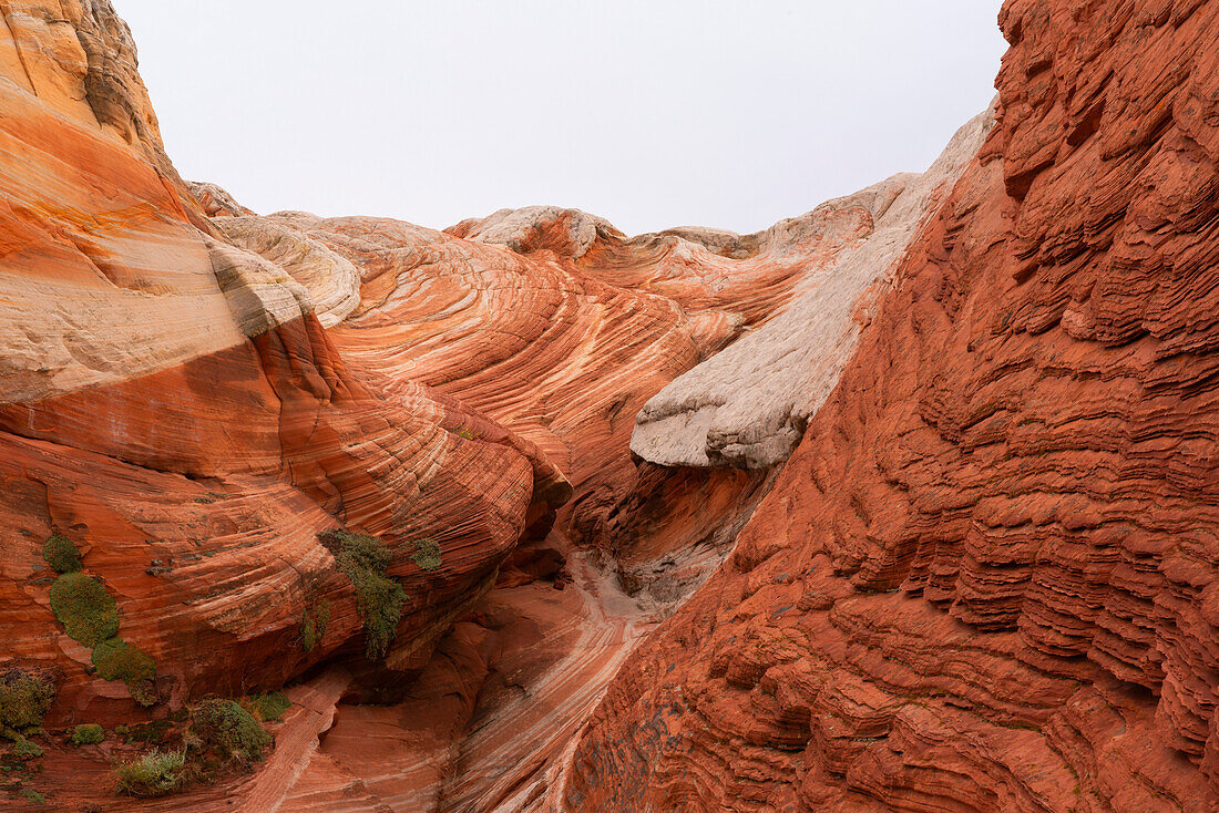 Landschaftliche Ansicht von Felsformationen und steilen Klippen mit wirbelnden Mustern unter einem bewölkten Himmel, die Teil der fremden Landschaft von erstaunlichen Linien, Konturen und Formen in der wundersamen Gegend bekannt als White Pocket, in Arizona, Arizona, Vereinigte Staaten von Amerika