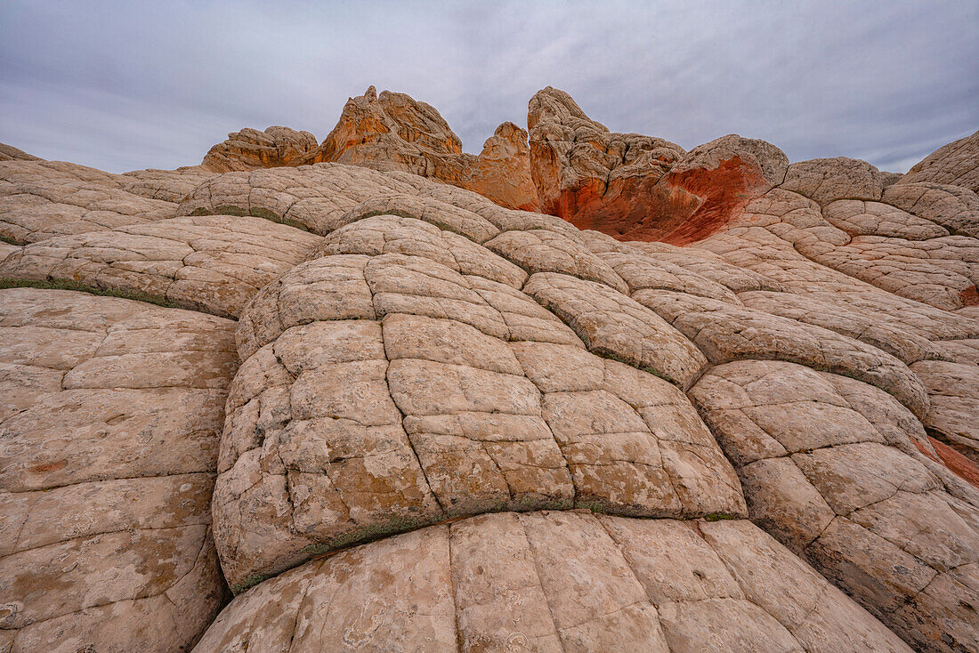 Blick auf geometrische Muster auf felsigen Hügeln, die als Brain Rocks bezeichnet werden, vor einem wolkenverhangenen Himmel, der Teil der fremdartigen Landschaft mit erstaunlichen Linien, Konturen und Formen in dem wundersamen Gebiet ist, das als White Pocket bekannt ist, gelegen in Arizona, Arizona, Vereinigte Staaten von Amerika