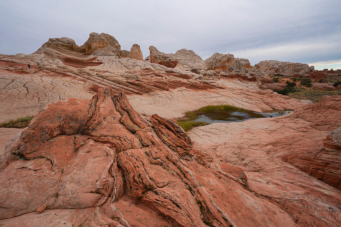 Scenic view of mounds,peaks and layered rock formations under a cloudy sky,forming part of the alien landscape of amazing lines,contours and shapes in the wondrous area known as White Pocket,situated in Arizona,Arizona,United States of America