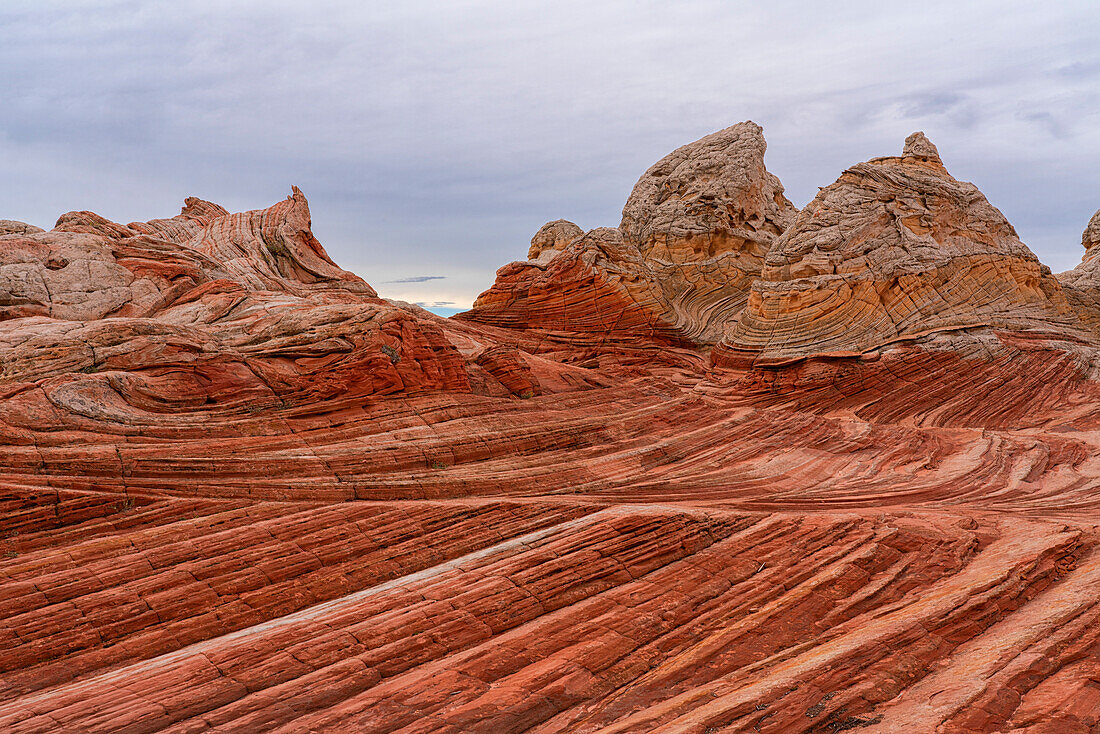 Blick auf den erodierten Navajo-Sandstein, der rote Felsformationen mit zerklüfteten, wirbelnden Mustern bildet, die fremde Landschaften mit erstaunlichen Linien, Konturen und Formen in der wundersamen Gegend von White Rock, Arizona, Vereinigte Staaten von Amerika bilden