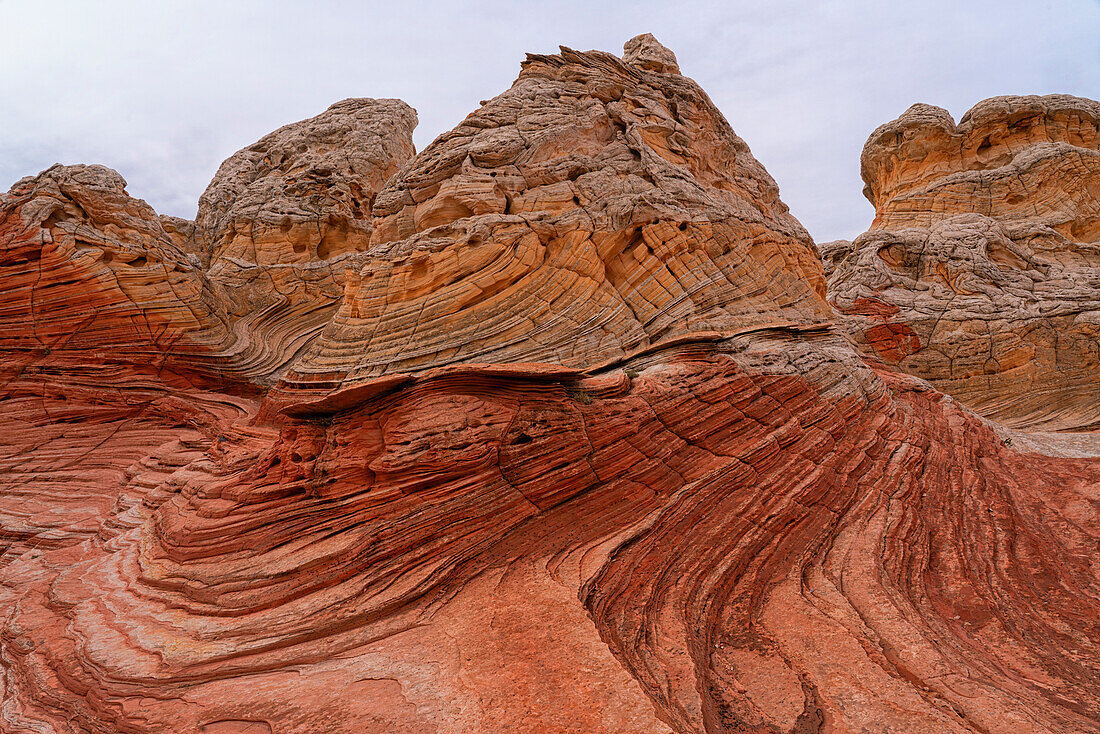 Blick auf den erodierten Navajo-Sandstein, der rote Felsformationen mit zerklüfteten, wirbelnden Mustern bildet, die fremdartige Landschaften mit erstaunlichen Linien, Konturen und Formen in der wundersamen Gegend von White Rock, Arizona, Vereinigte Staaten von Amerika bilden