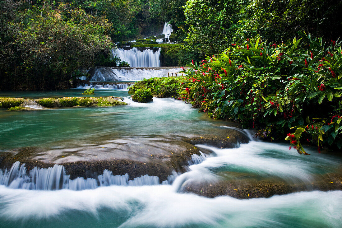 YS Falls, ein 7-stufiger kaskadenförmiger Wasserfall an der Südküste Jamaikas, Jamaika, Westindien