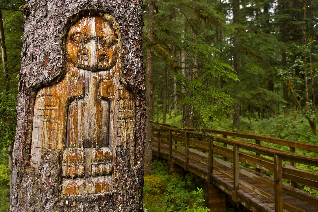 Tree trunk carved by a Native American artist at Bartlett Cove in Glacier Bay National Park,Alaska,United States of America