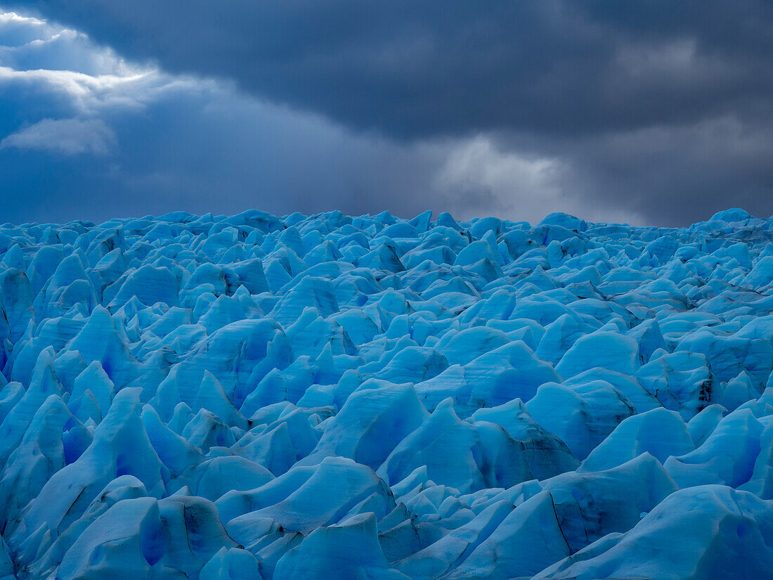 Blaues Eis vom Grey Glacier, der vom drittgrößten Eisfeld, dem südlichen patagonischen Eisfeld im Torres del Paine National Park, Patagonien, Chile, herunterkommt