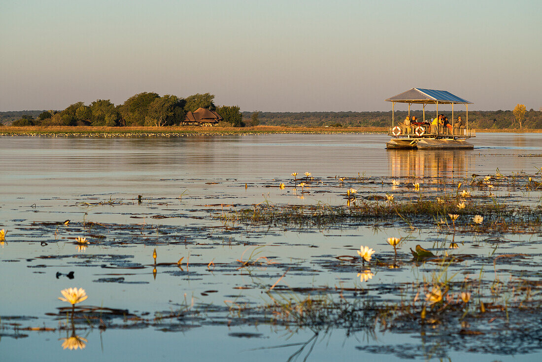 Bootsfahrt auf dem Chobe-Fluss bei Sonnenuntergang auf der Suche nach Wildtieren, Botswana