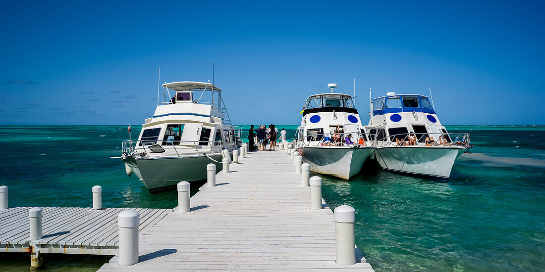 Tour boats moored along a dock in the Caribbean,Belize