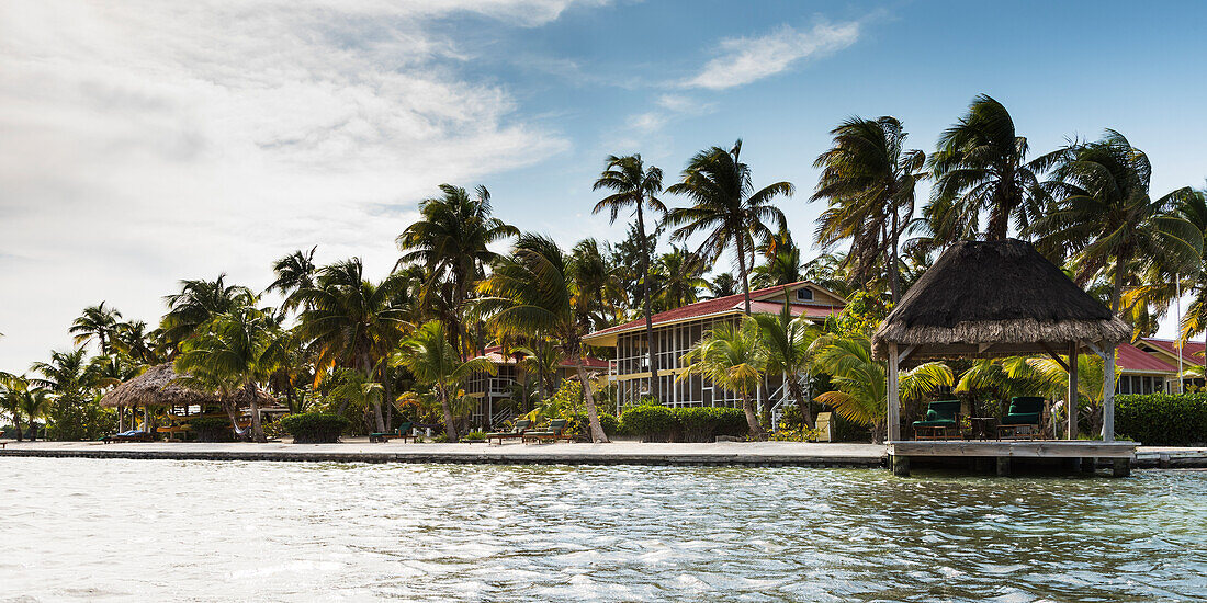 Resort accomodations and palm trees in the Caribbean,Belize