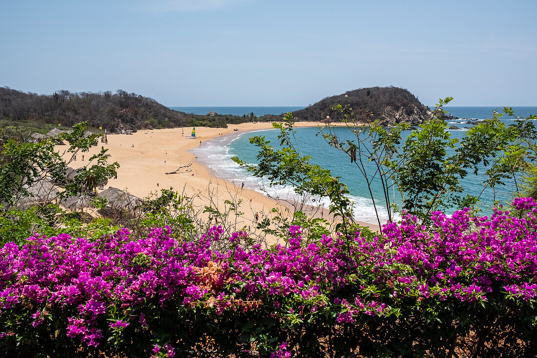 Pristine beach with blossoming tropical plants in the foreground,Huatulco,Oaxaca,Mexico