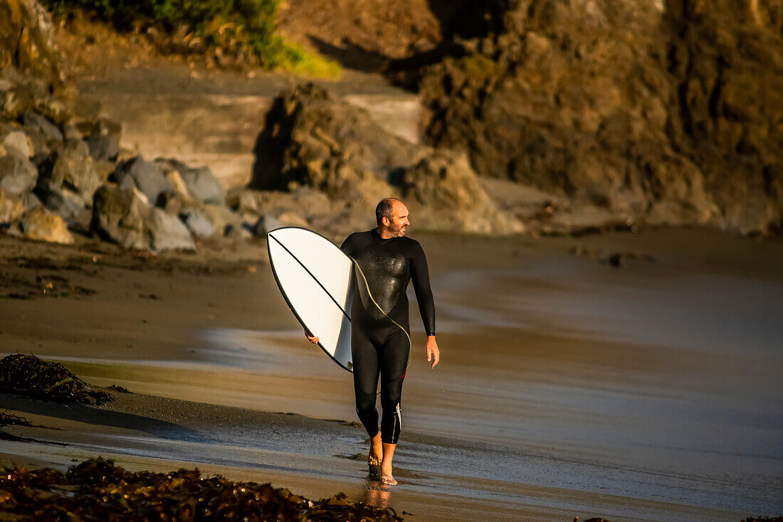 Surfer mit Surfbrett und Blick aufs Wasser, Houghton Bay, Wellington, Neuseeland