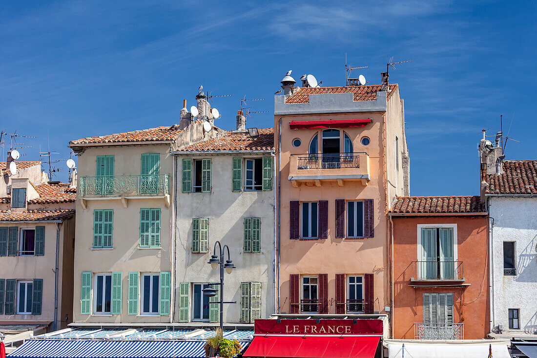 Bunte Häuser im Hafen von Cassis, Südfrankreich, Cassis, Bouches-du-Rhone, Frankreich